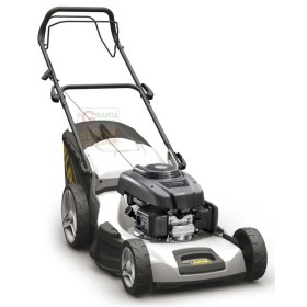 ALPINA TOSAERBA A SCOPPIO SEMOVENTE AL6 53SHQ HONDA GCV160 CM. 51 ALPINA TOSAERBA A SCOPPIO SEMOVENTE AL6 53SHQ HONDA GCV160 CM.