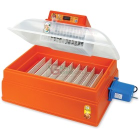 NOVITAL INCUBATRICE AUTOMATICA 54 UOVA DI GALLINA DIGITALE NOVITAL INCUBATRICE AUTOMATICA 54 UOVA DI GALLINA DIGITALE