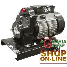 REBER MOTORIDUTTORE HP. 1,5 REBER MOTORIDUTTORE HP. 1,5