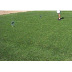SEMI DI PRATO GRAMIGNA KG. 25 CYNODON DACTYLON SEMI DI PRATO GRAMIGNA KG. 25 CYNODON DACTYLON