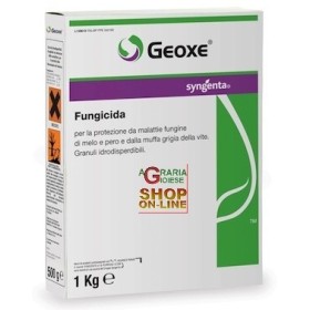 SYNGENTA FUNGICIDA GEOXE KG. 1 FLUDIOXONIL SYNGENTA FUNGICIDA GEOXE KG. 1 FLUDIOXONIL