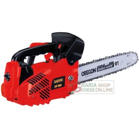 MOTOSEGA CASTOR CP 300 DA POTA CON BARRA A ROCCHETTO CM. 25 CP300 MOTOSEGA CASTOR CP 300 DA POTA CON BARRA A ROCCHETTO CM. 25