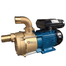 TELLARINI ELETTROPOMPA DA TRAVASO CON MANIGLIA HP. 1.2 mm. 40 TELLARINI ELETTROPOMPA DA TRAVASO CON MANIGLIA HP. 1.2 mm. 40