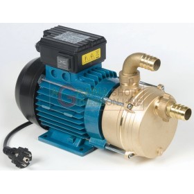 TELLARINI ELETTROPOMPA DA TRAVASO CON MANIGLIA HP. 1 mm. 30 TELLARINI ELETTROPOMPA DA TRAVASO CON MANIGLIA HP. 1 mm. 30