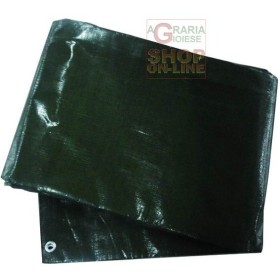 TELO OCCHIELLATO PESANTE GR. 200 MQ COLORE VERDE MT. 8x10 TELO OCCHIELLATO PESANTE GR. 200 MQ COLORE VERDE MT. 8x10
