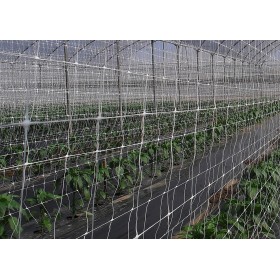Rete per rampicante rotolo da 1,70h x 1000mt Rete per rampicante rotolo da 1,70h x 1000mt