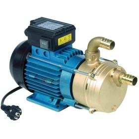 TELLARINI ELETTROPOMPA DA TRAVASO CON MANIGLIA HP 0,6 mm. 25 TELLARINI ELETTROPOMPA DA TRAVASO CON MANIGLIA HP 0,6 mm. 25