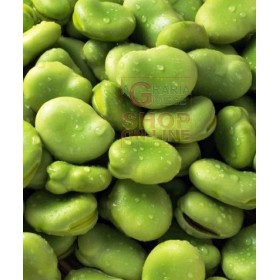 SEMI DI FAVA SUPERAGUADULCE BACCELLO LUNGO SACCO DA KG. 25 SEMI DI FAVA SUPERAGUADULCE BACCELLO LUNGO SACCO DA KG. 25