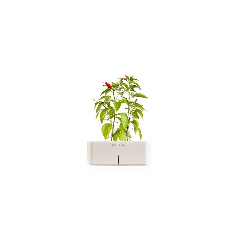 CLICK E GROW STARTER KIT PEPERONCINO CLICK E GROW STARTER KIT PEPERONCINO