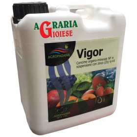 AGROPADANA VIGOR CONCIME ORGANO MINERALE NP 4,4.8 CON ZINCO KG.