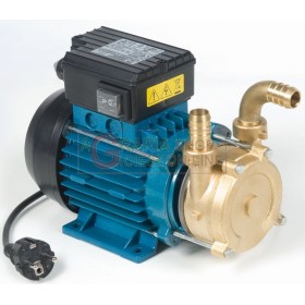 TELLARINI ELETTROPOMPA DA TRAVASO CON MANIGLIA HP 0,5 mm. 20 TELLARINI ELETTROPOMPA DA TRAVASO CON MANIGLIA HP 0,5 mm. 20