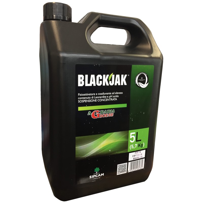 Como jugar poker contra el casino Blackjack counting system hi lo