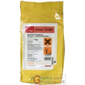 DELAN 70 WG FUNGICIDA GRANUALRE DITIANON KG. 1 DELAN 70 WG FUNGICIDA GRANUALRE DITIANON KG. 1