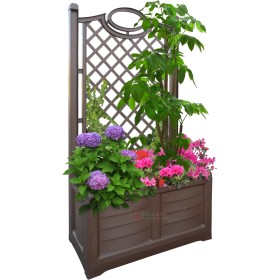 Fioriera con spalliera Bama Separè colore legno cm. 80x42,5x150h Fioriera con spalliera Bama Separè colore legno cm. 80x42,5x150h