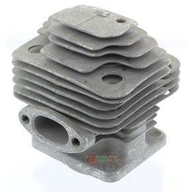 CILINDRO TERMICO PER DECESPUGLIATORE JET-SKY 30 FIG. 48 CILINDRO TERMICO PER DECESPUGLIATORE JET-SKY 30 FIG. 48