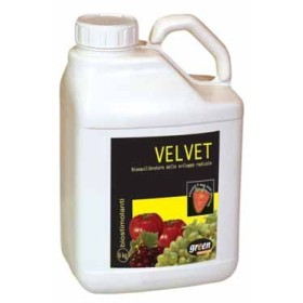 GREEN VELVET CONCIME STIMOLANTE BIOEQUILIBRATORE DELLO SVILUPPO RADICALE NPK 3.5.5 KG. 6 GREEN VELVET CONCIME STIMOLANTE BIOEQUILIBRATORE DELLO SVILUPPO