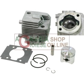 KIT CILINDRO E PISTONE PER SOFFIATORI 260 KIT CILINDRO E PISTONE PER SOFFOFFIARI 260