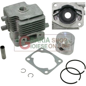 KIT CILINDRO E PISTONE PER TOSASIEPE SLP600A KIT CILINDRO E PISTONE PER TOSASIEPE SLP600A