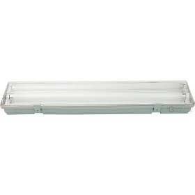 PLAFONIERA REGLETTE IP65 2X36W CON NEON PLAFONIERA REGLETTE IP65 2X36W CON NEON