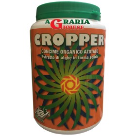 Cropper estratti di alghe Ascophillum Nodosum consentito in agricoltura biologica kg. 1 Cropper estratti di alghe Ascophillum Nodosum consentito in
