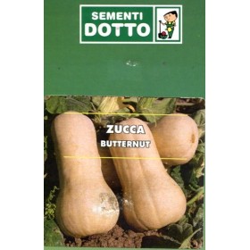 SEMI DI ZUCCA BUTTERNUT GR.500 SEMI DI ZUCCA BUTTERNUT GR.500