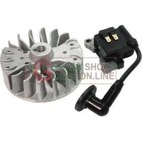 KIT BOBINA VOLANO PER DECESPUGLIATORE KASEI 260 KIT BOBINA VOLANO PER DECESPUGLIATORE KASEI 260