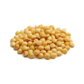 MIGLIO PAGLIERINO KG. 25 MIGLIO PAGLIERINO KG. 25