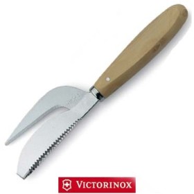VICTORINOX SQUAMAPESCI VITECAILLE VICTORINOX SQUAMAPESCI VITECAILLE