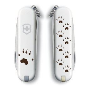 VICTORINOX ORME 2 SPECIAL EDITION SCOIATTOLO 0.62 SE11 VICTORINOX ORME 2 SPECIAL EDITION SCOIATTOLO 0.62 SE11