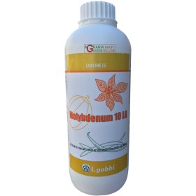 GOBBI CONCIME MOLYBDENUM 10 LG CONSENTITO IN AGRICOLTURA BIOLOGICA A BASE DI MOLIBDENO KG. 1 GOBBI CONCIME MOLYBDENUM 10 LG CONSENTITO IN AGRICOLTURA