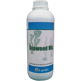 GOBBI ALGA SEAWEED MIX KG. 1 GOBBI ALGA SEAWEED MIX KG. 1