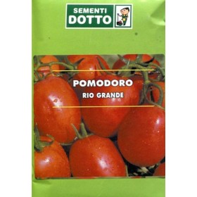 SEMI DI POMODORO RIO GRANDE ACCIAIOSO PER CONSERVE GR. 50 SEMI DI POMODORO RIO GRANDE ACCIAIOSO PER CONSERVE GR. 50
