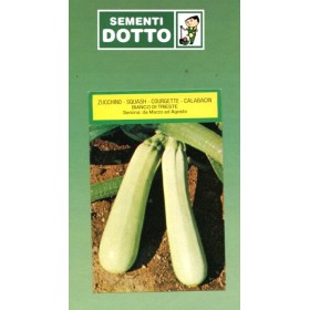 SEMI DI ZUCCHINO BIANCO TRIESTE GR. 500 SEMI DI ZUCCHINO BIANCO TRIESTE GR. 500