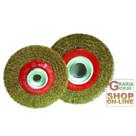 SPAZZOLA CIRCOLARE MM.150X25 FORO 16 SPAZZOLA CIRCOLARE MM.150X25 FORO 16