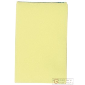 Einhell Filtro in spugna per aspiratore Einhell Filtro in spugna per aspiratore