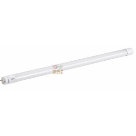 TUBO NEON A LED VETRO CON FILM DI PROTEZIONE T8 220-240V LUMEN 2000 CM. 150 TUBO NEON A LED VETRO CON FILM DI PROTEZIONE T8 220-240V LUMEN