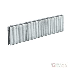 Einhell 3000 graffette 5x25 mm per DTA 25/2 Einhell 3000 graffette 5x25 mm per DTA 25/2