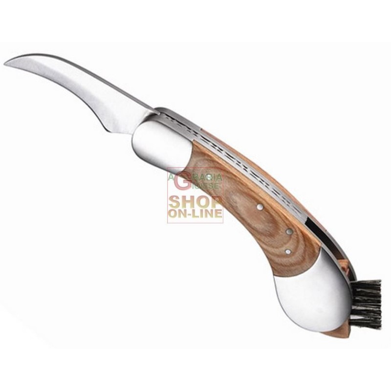 Coltello per Funghi, Coltello Micologica con Spazzola in Setola di Cinghiale, Acciaio Inox