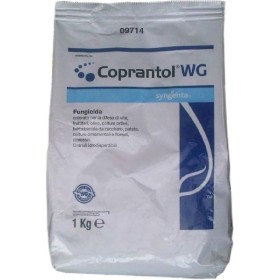 SYNGENTA COPRANTOL WG KG. 1 OSSICLORURO DI RAME 32% SYNGENTA COPRANTOL WG KG.1 OSSICLORURO DI RAME 32%