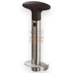 MAX TAGLIA ANANAS INOXIDABILI MAX TAGLIA ANANAS INOXIDABILI