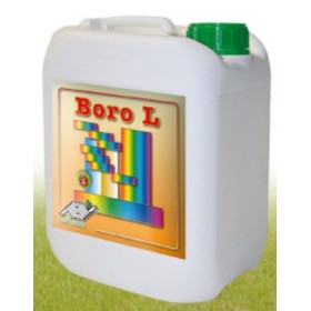 Boro L Concime fluido a base di boro etanolammina 11% kg. 1 Boro L Concime fluido a base di boro etanolammina 11% kg. 1