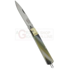 FRARACCIO COLTELLO MANICO FINTO CORNO TESTINA IN OTTONE CM. 17 FRARACCIO COLTELLO MANICO FINTO CORNO TESTINA IN OTTONE CM. 17