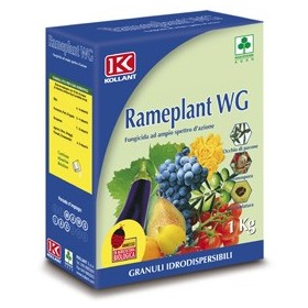 RAMEPLANT WG FUNGICIDA OSSICLORURO DI RAME KG. 1 RAMEPLANT WG FUNGICIDA OSSICLORURO DI RAME KG. 1