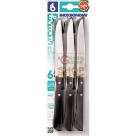 BONOMI SET COLTELLI DA TAVOLA E BISTECCA PER CARNE E PIZZA PZ. 6 INOX AISI 420 CM. 12 BONOMI SET COLTELLI DA TAVOLA E BISTECCA PER CARNE E PIZZA PZ.