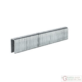 Einhell 3000 graffette 5x13 mm per DTA 25/2 Einhell 3000 graffette 5x13 mm per DTA 25/2