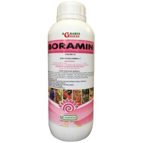 FERTENIA BORAMIN CONCIME FOGLIARE A BASE DI BORO KG. 1 FERTENIA BORAMIN CONCIME FOGLIARE A BASE DI BORO KG. 1