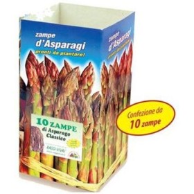 RADICI A ZAMPE  DI ASPARAGI IN CONFEZIONE DA 10 ZOLLETTE RADICI A ZAMPE DI ASPARAGI IN CONFEZIONE DA 10 ZOLLETTE