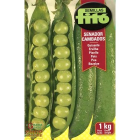 PISELLO KG. 1 FITO MEZZA RAMA SENADOR PISELLO KG. 1 FITO MEZZA RAMA SENADOR