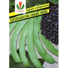 FAGIOLO GR. 500 RAMP. SUPER MARCONI S.NERO ROYAL SEED FAGIOLO GR. 500 RAMP. SUPER MARCONI S.NERO ROYAL SEED
