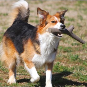 BAMA TUTTO MIO MINI GIOCATTOLO PER CANI DI PICCOLA TAGLIA BAMA TUTTO MIO MINI GIOCATTOLO PER CANI DI PICCOLA TAGLIA